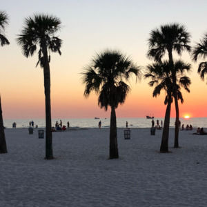 Meet your Posher, Courtney